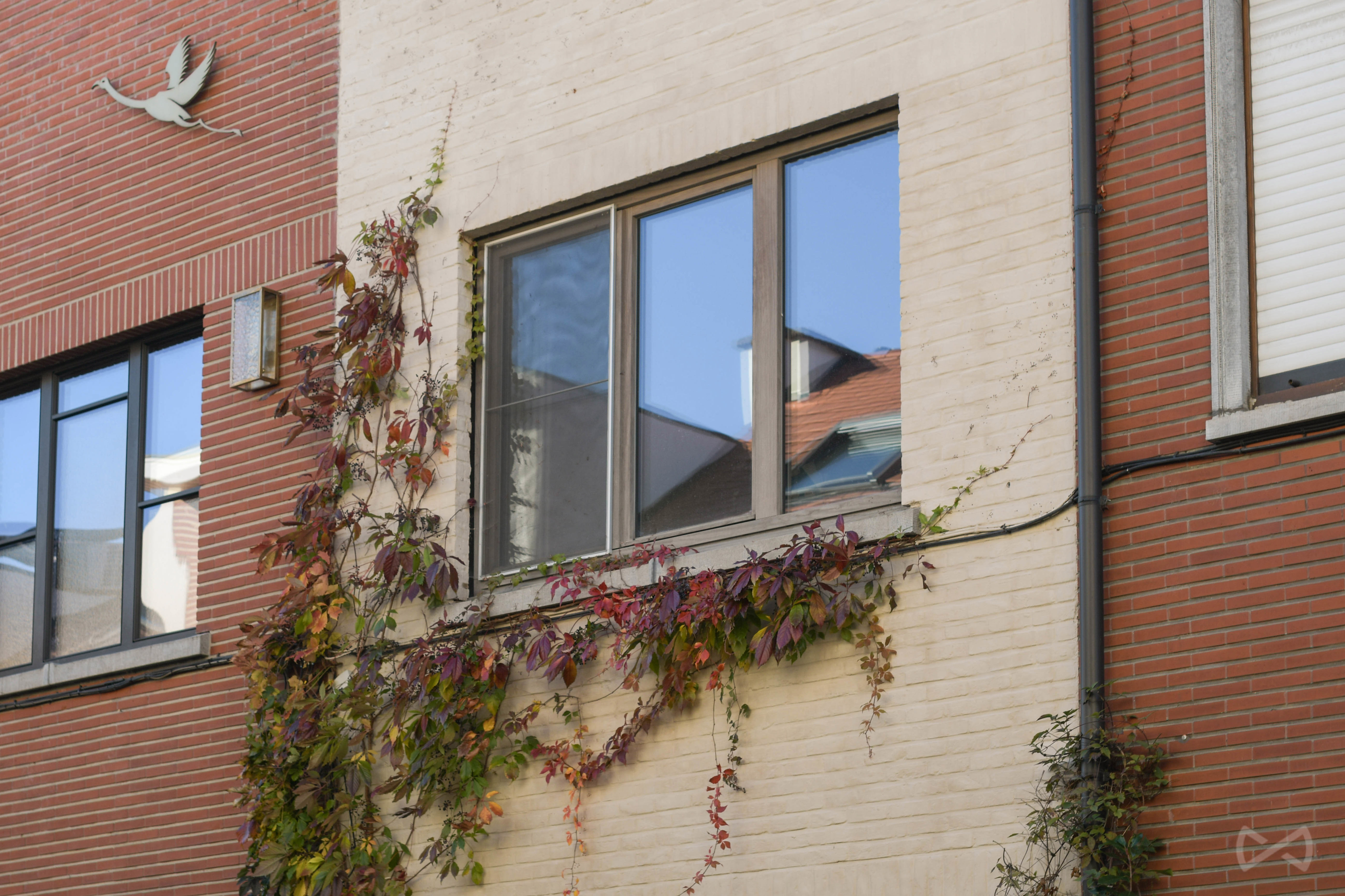 Picture 2 of 4 for House with two bedrooms in Leuven