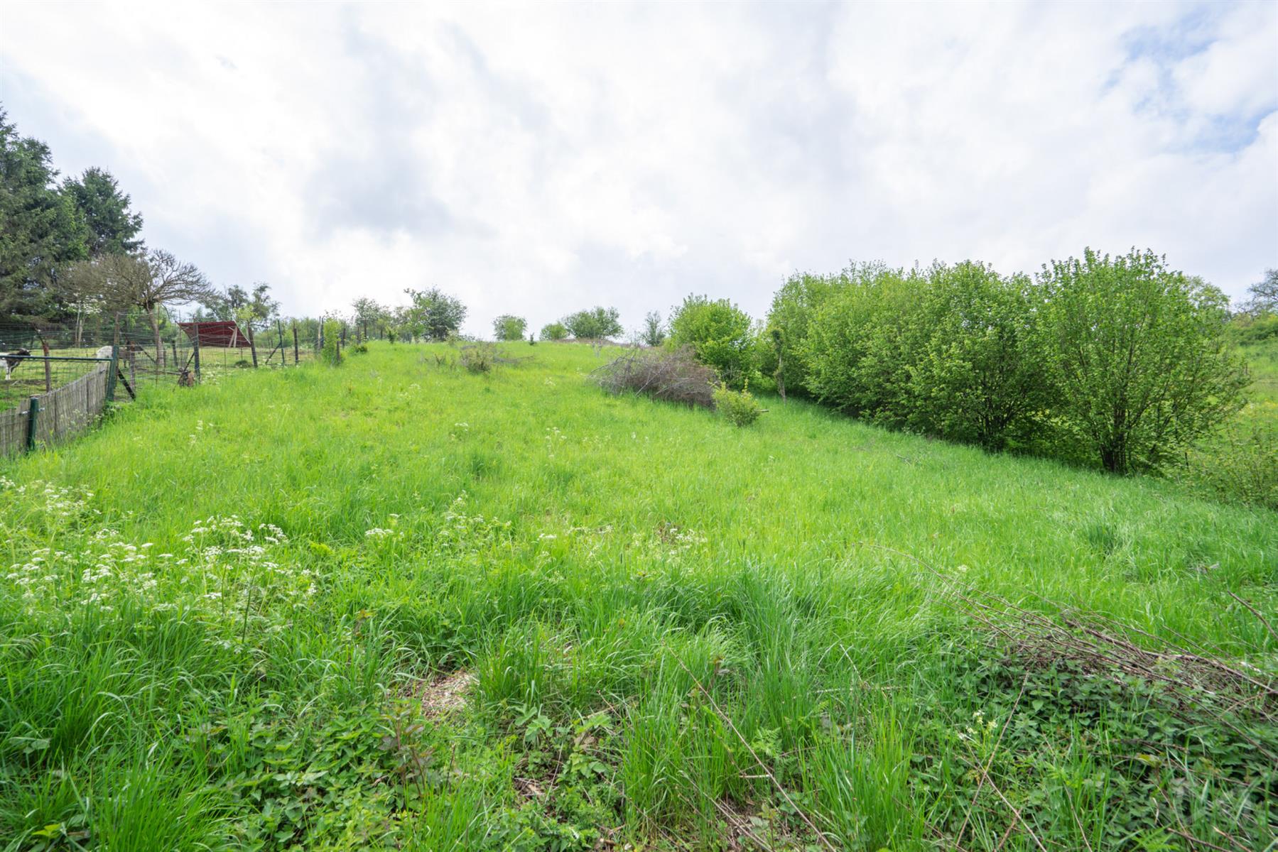 Picture 1 of 5 for Building ground in Silenrieux