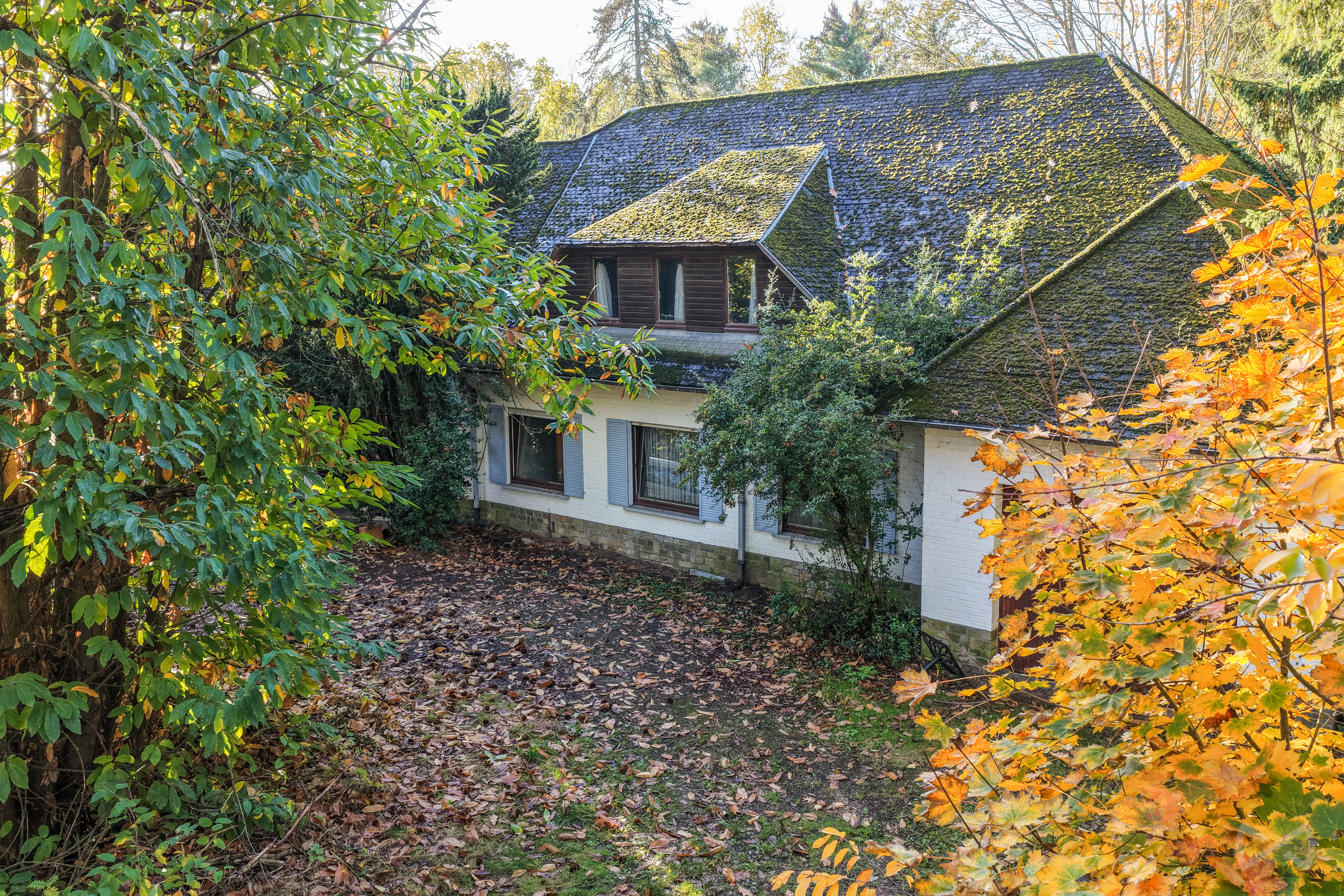 Foto 3 van 3 van Villa met vier slaapkamers in Rotselaar