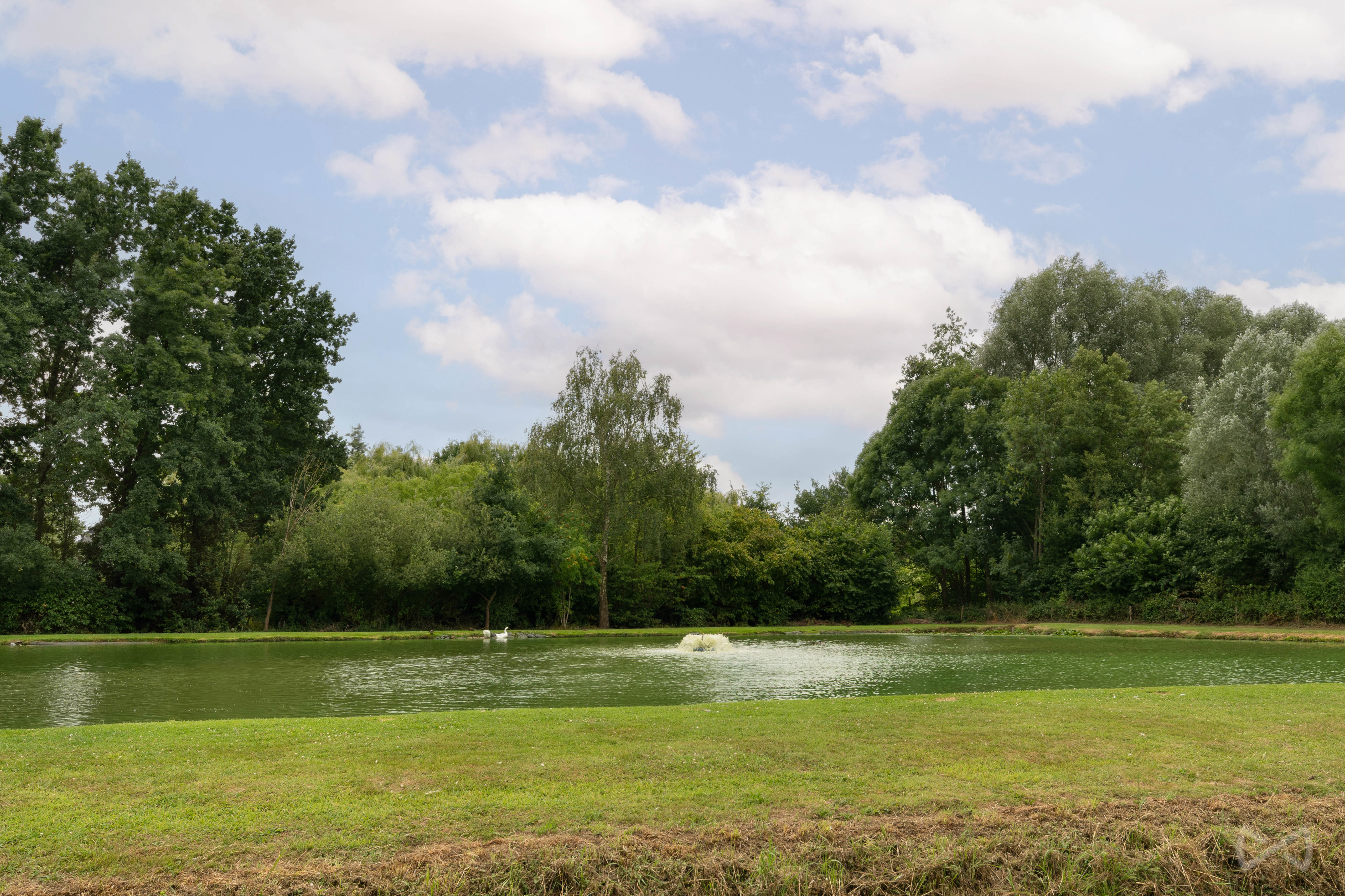 Picture 4 of 4 for House with three bedrooms in Lubbeek