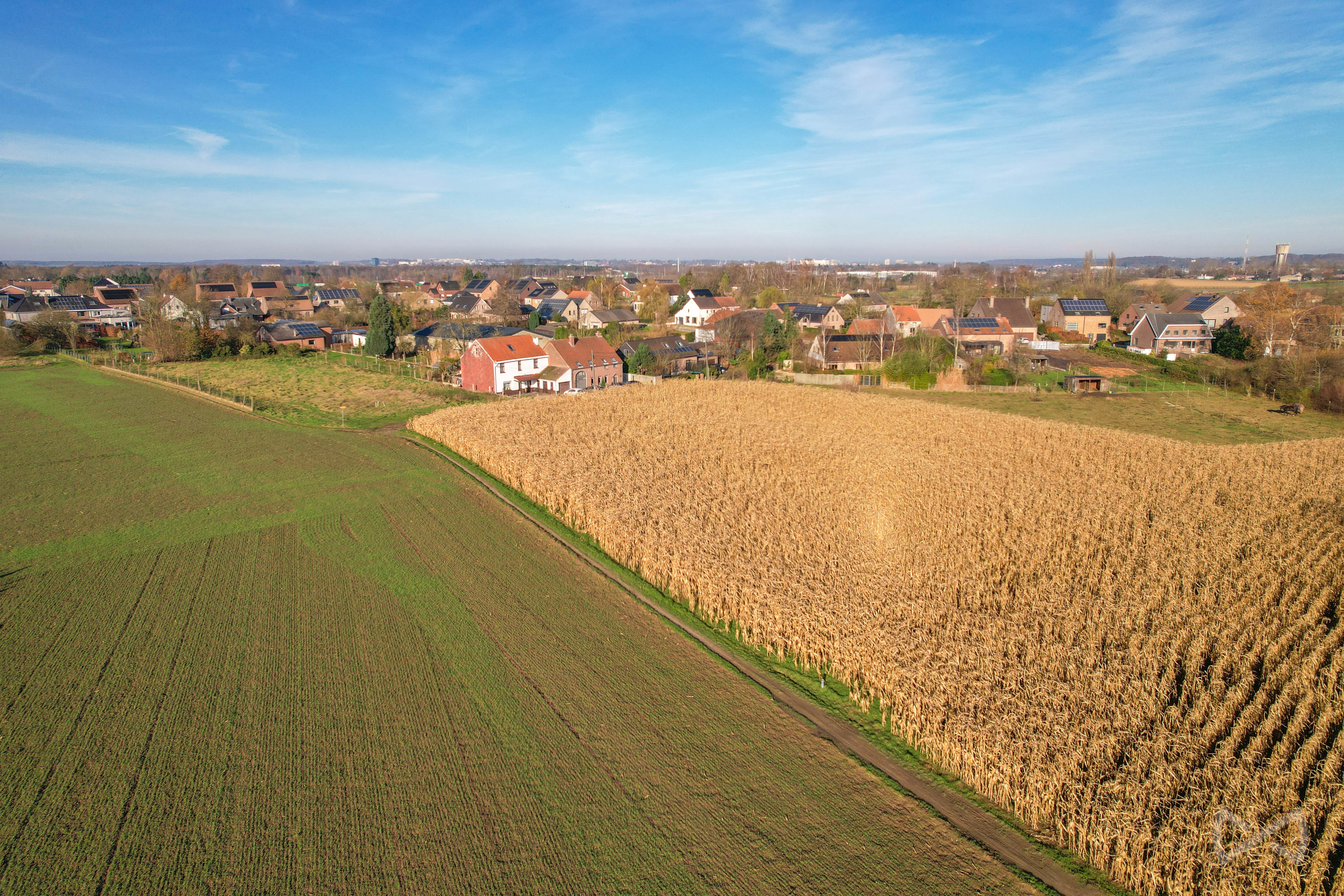 Picture 3 of 3 for House with four bedrooms in Oud-Heverlee