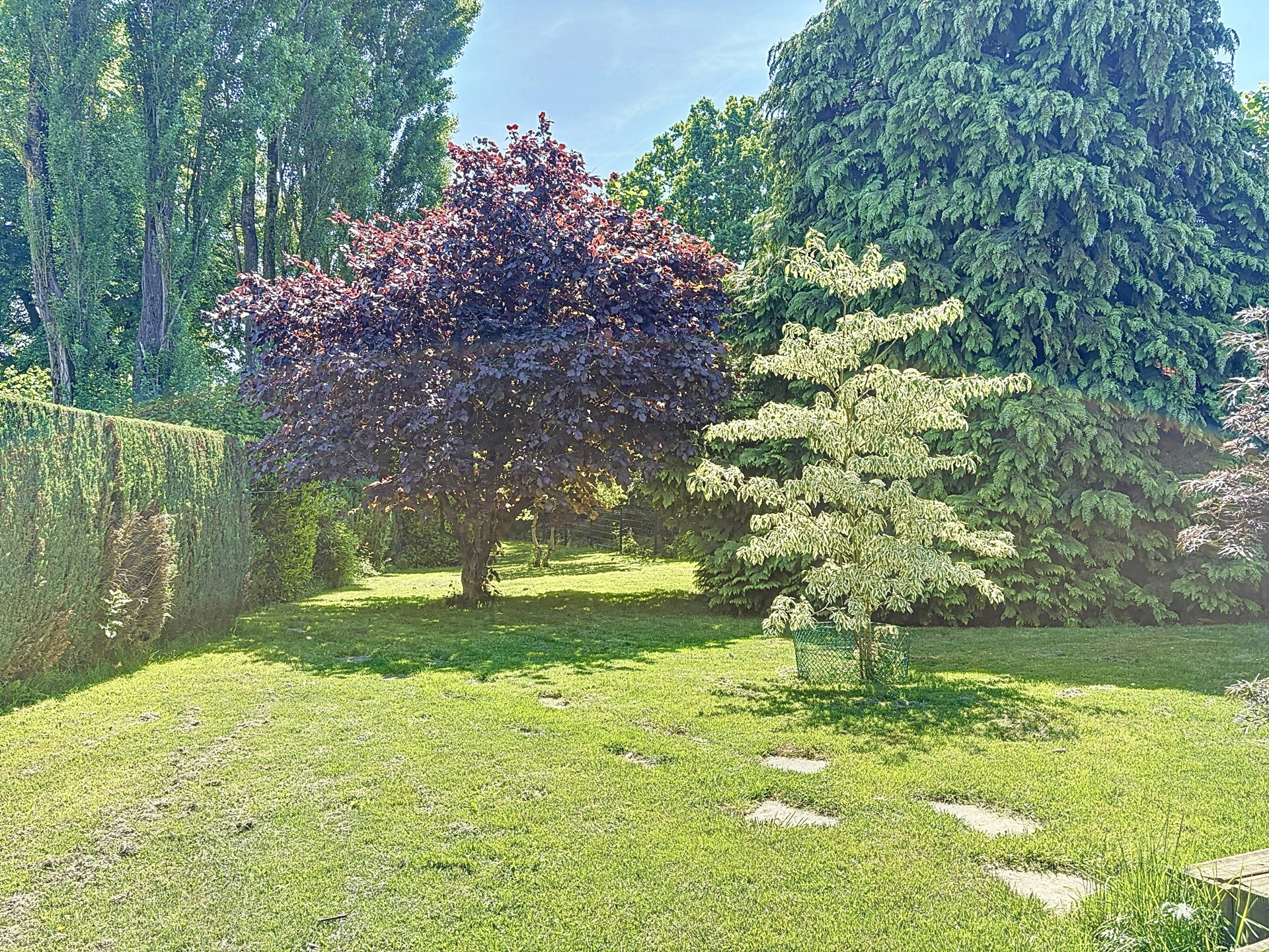 Picture 1 of 4 for Building ground in Courcelles Souvret