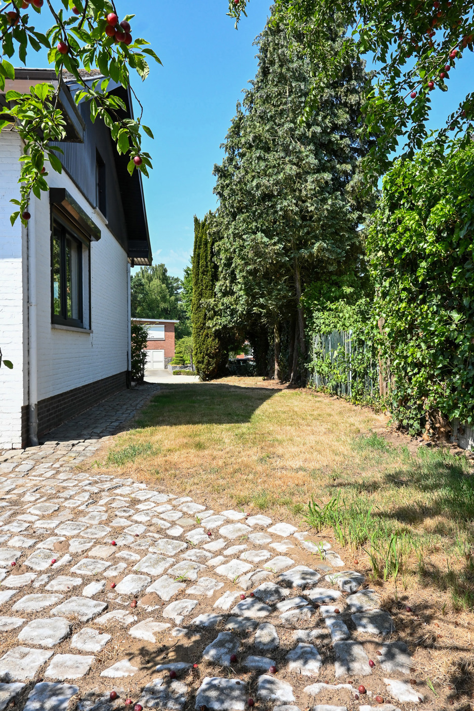 Picture 3 of 3 for House with two bedrooms in Lummen