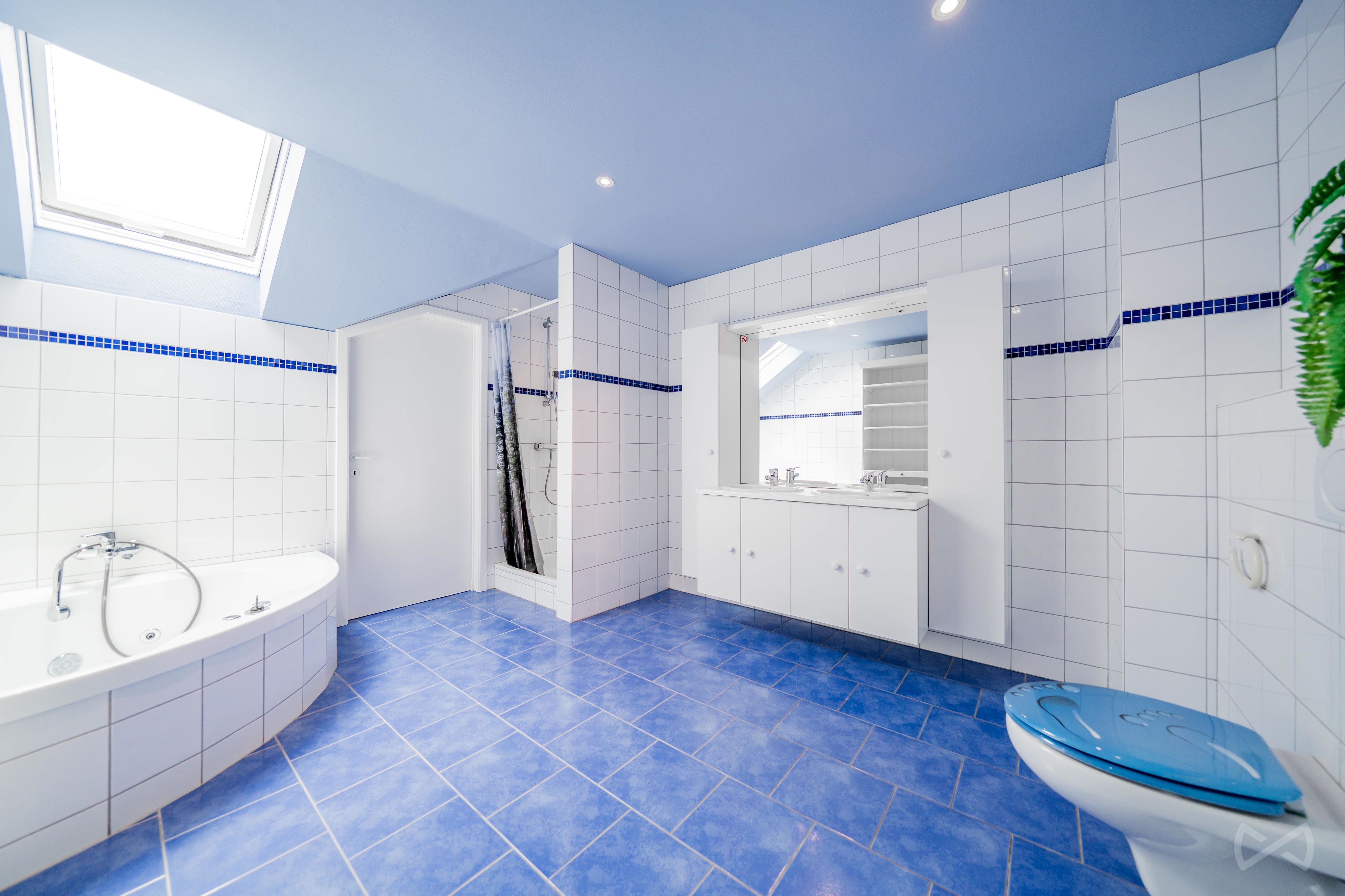 Picture 4 of 4 for House with seven bedrooms in Francorchamps