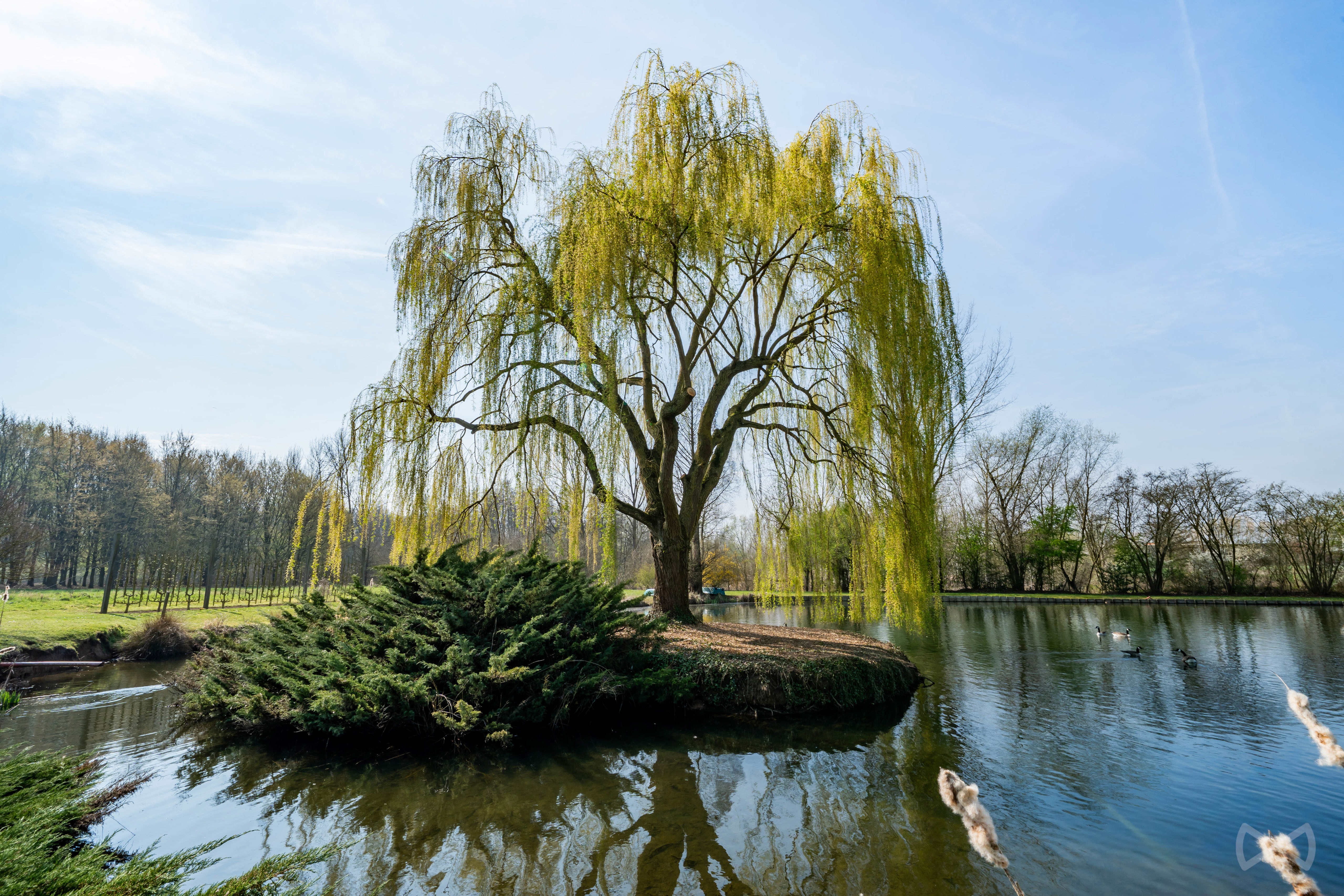 Picture 4 of 4 for Villa with six bedrooms in Jodoigne