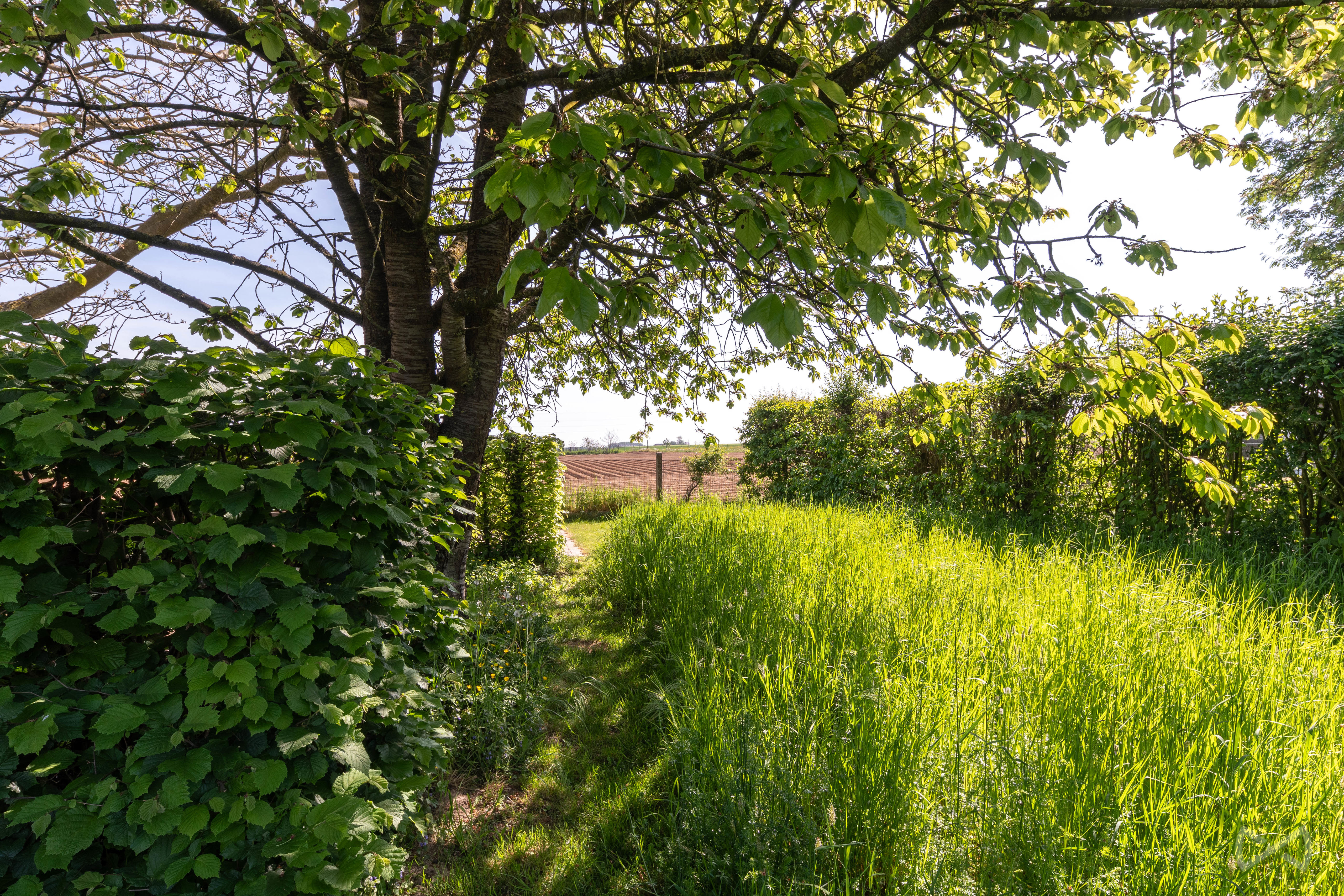 Foto 4 van 4 van Huis met twee slaapkamers in Pellenberg