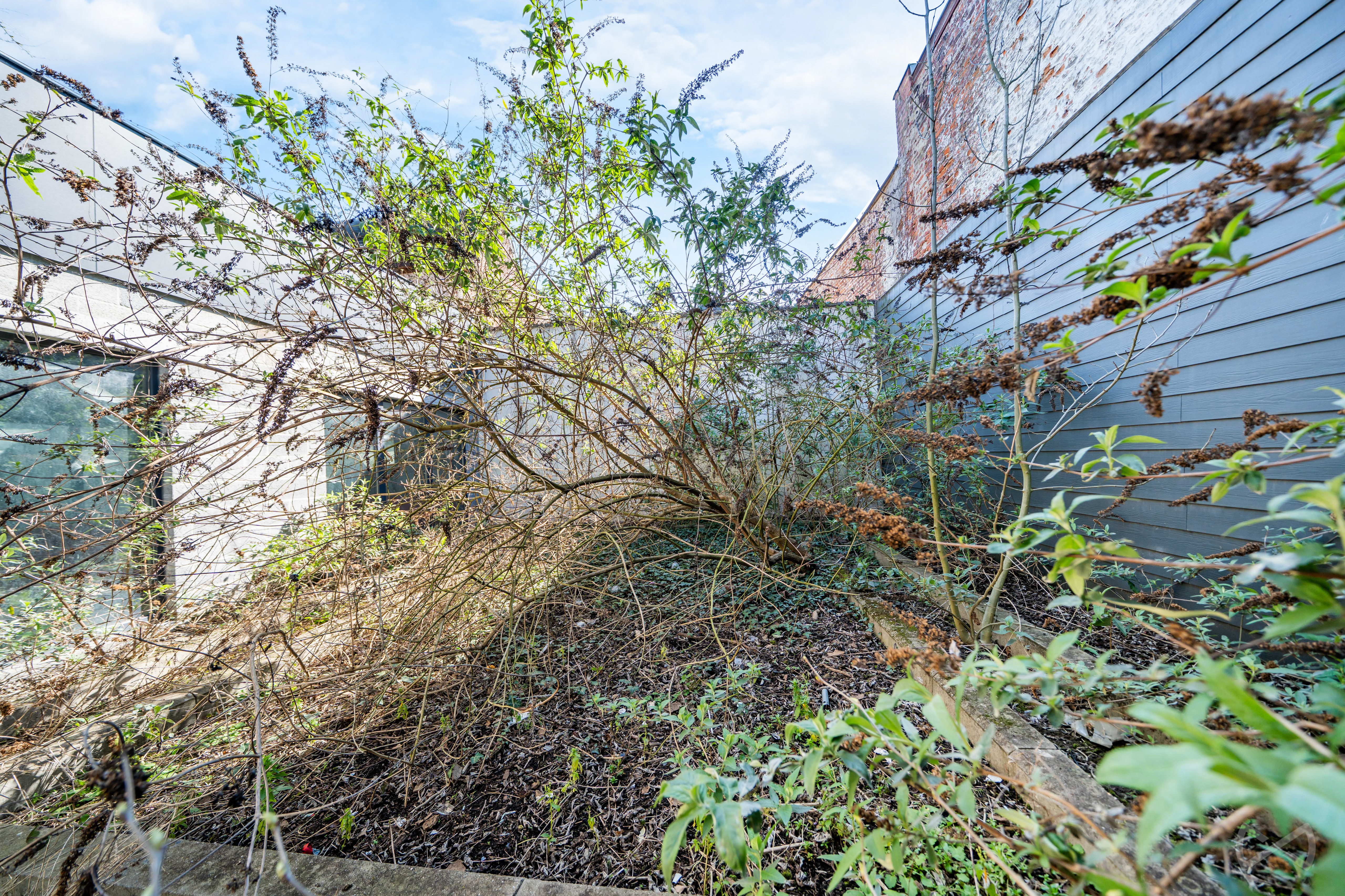 Picture 1 of 4 for Commercial building in Mons