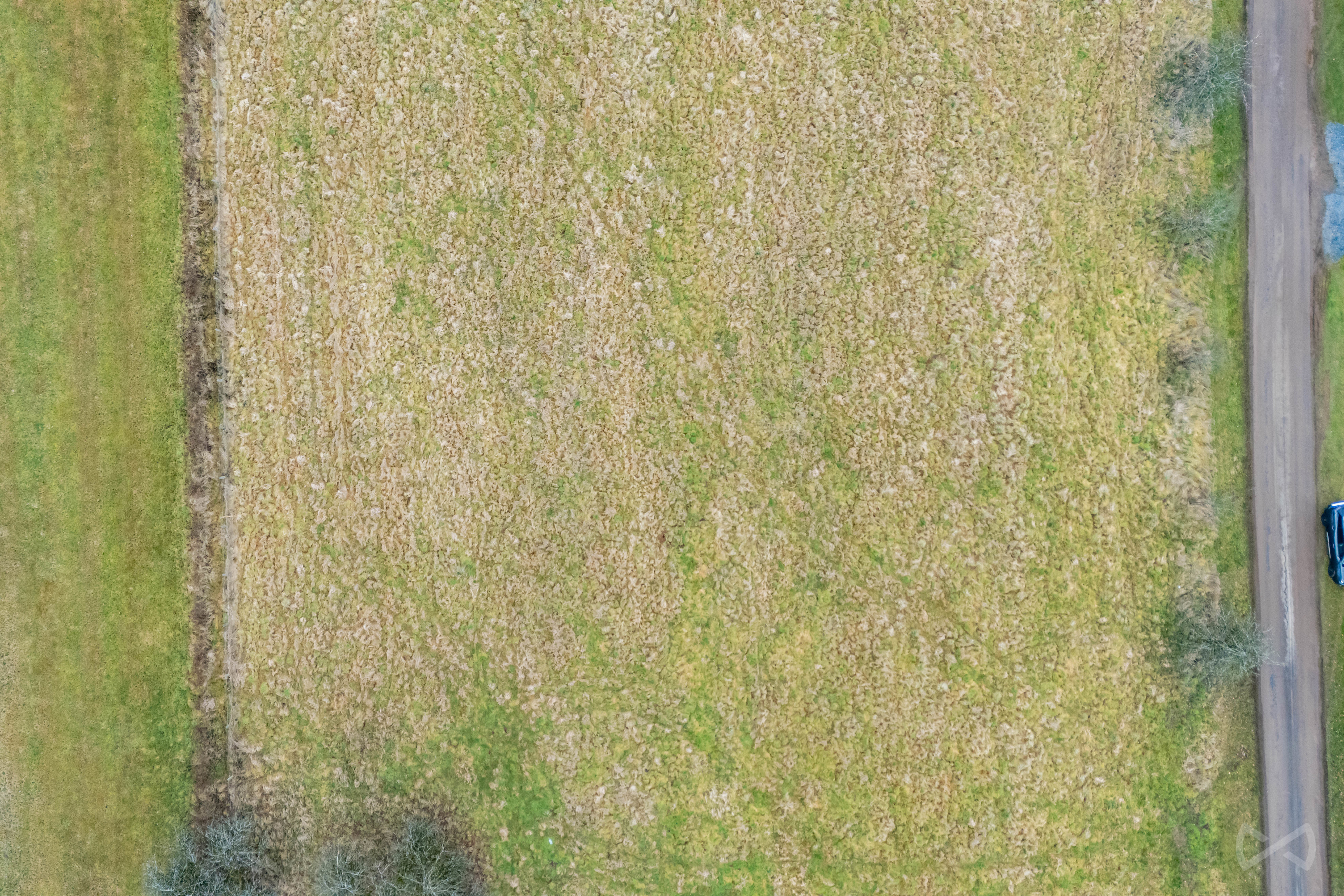 Picture 1 of 4 for Building ground in Transinne