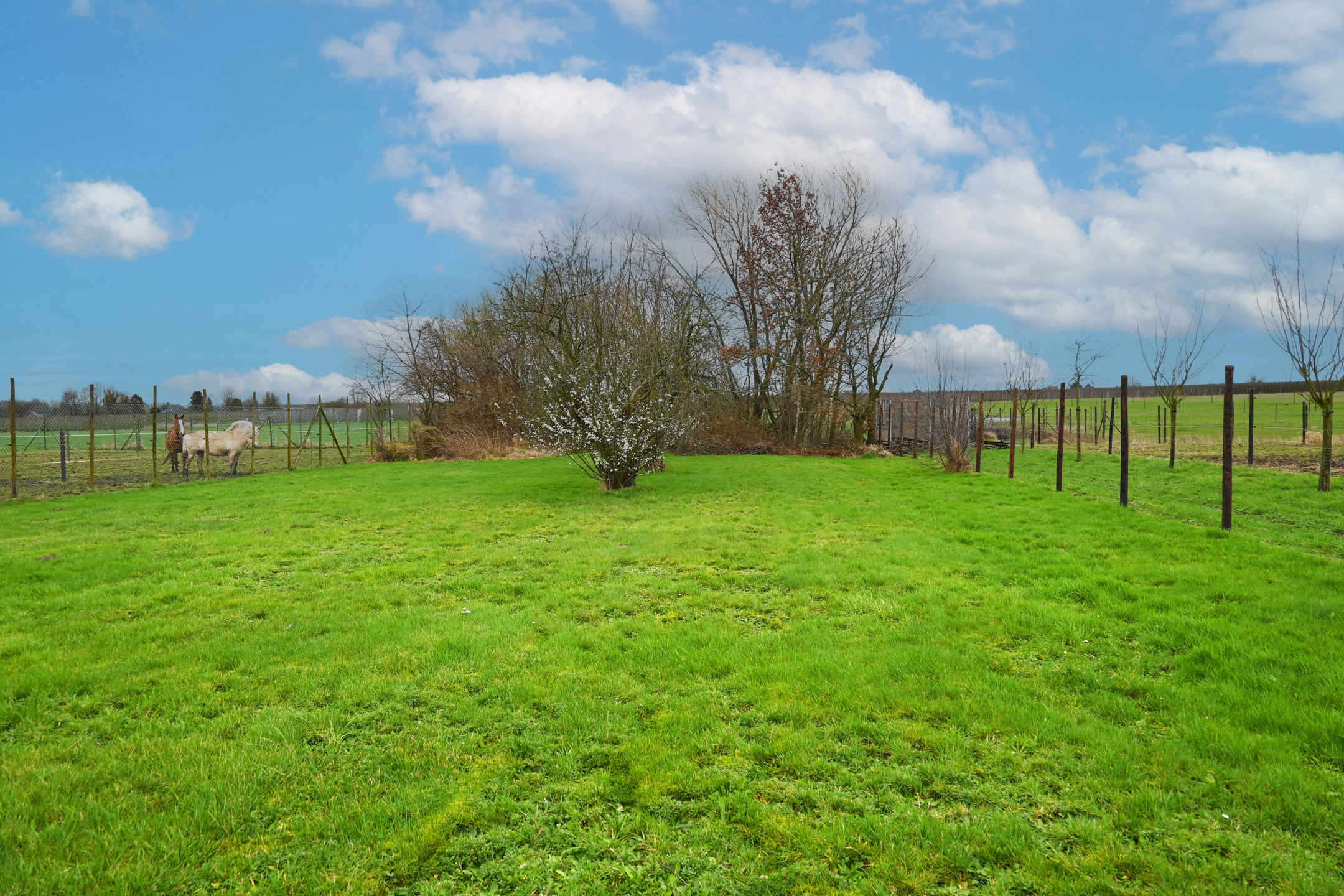 Picture 2 of 4 for Charming house with three bedrooms in Herk-de-Stad