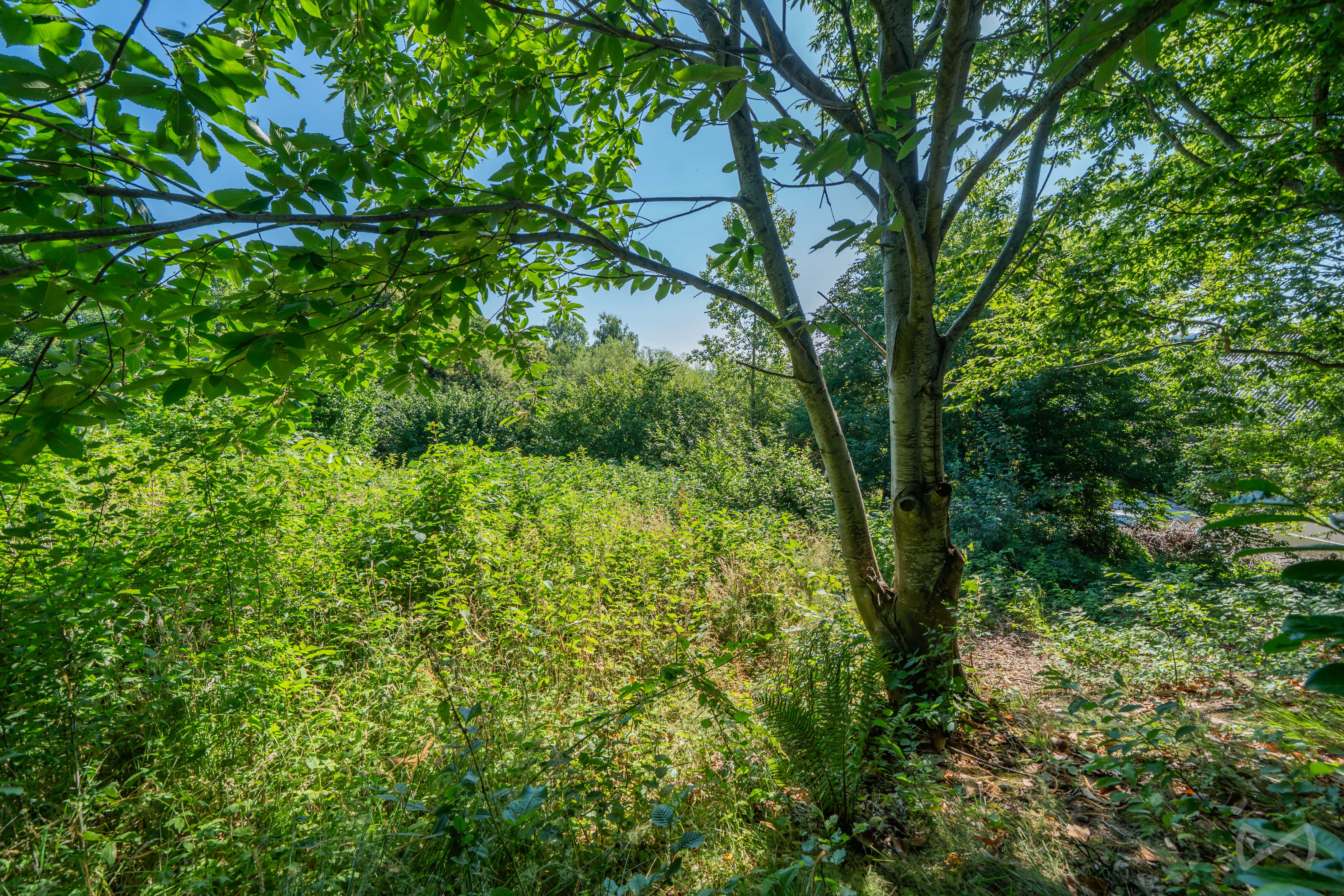 Picture 2 of 4 for Building ground in Nivelles