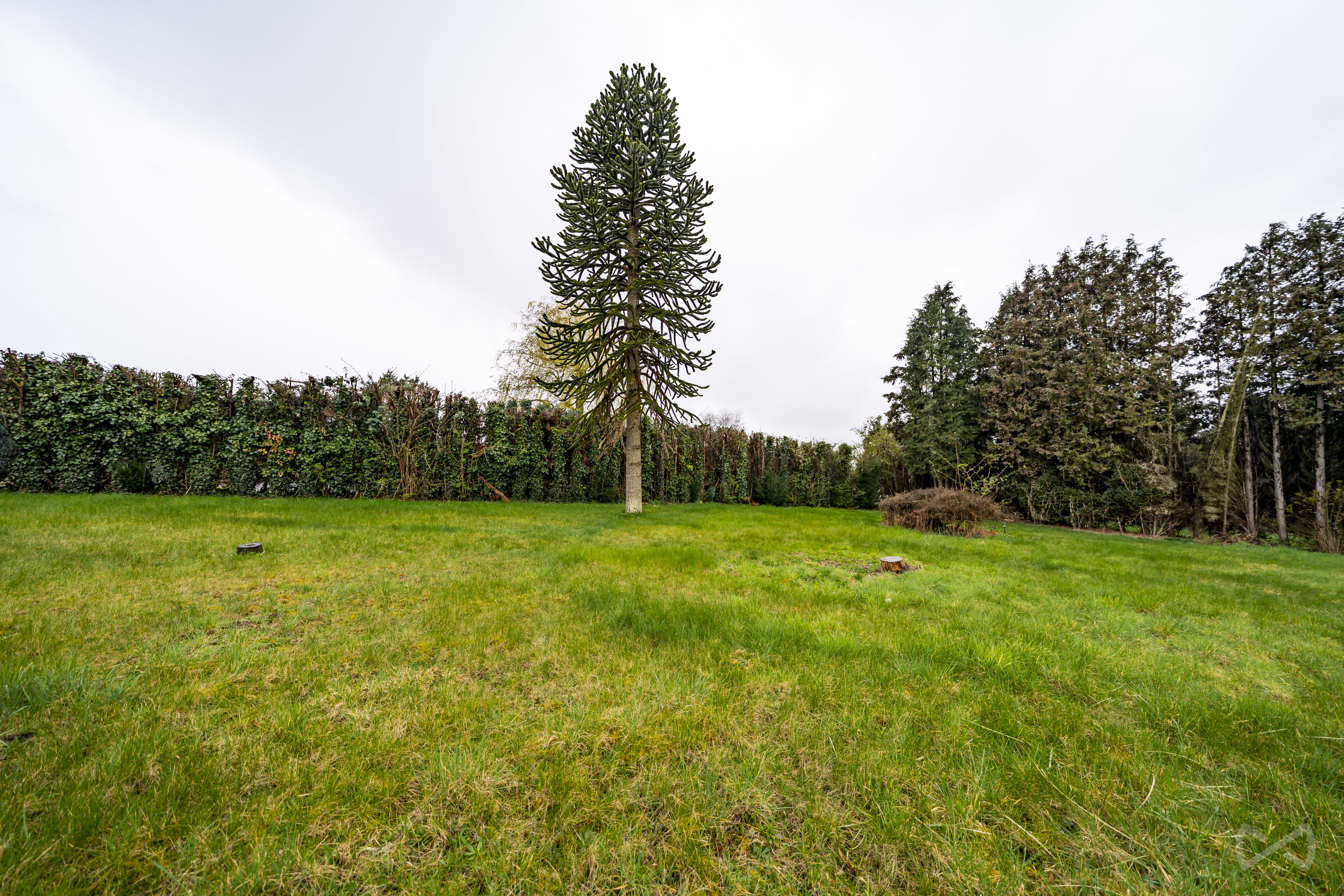 Photo 2 sur 4 pour Villa de deux chambres à Couthuin