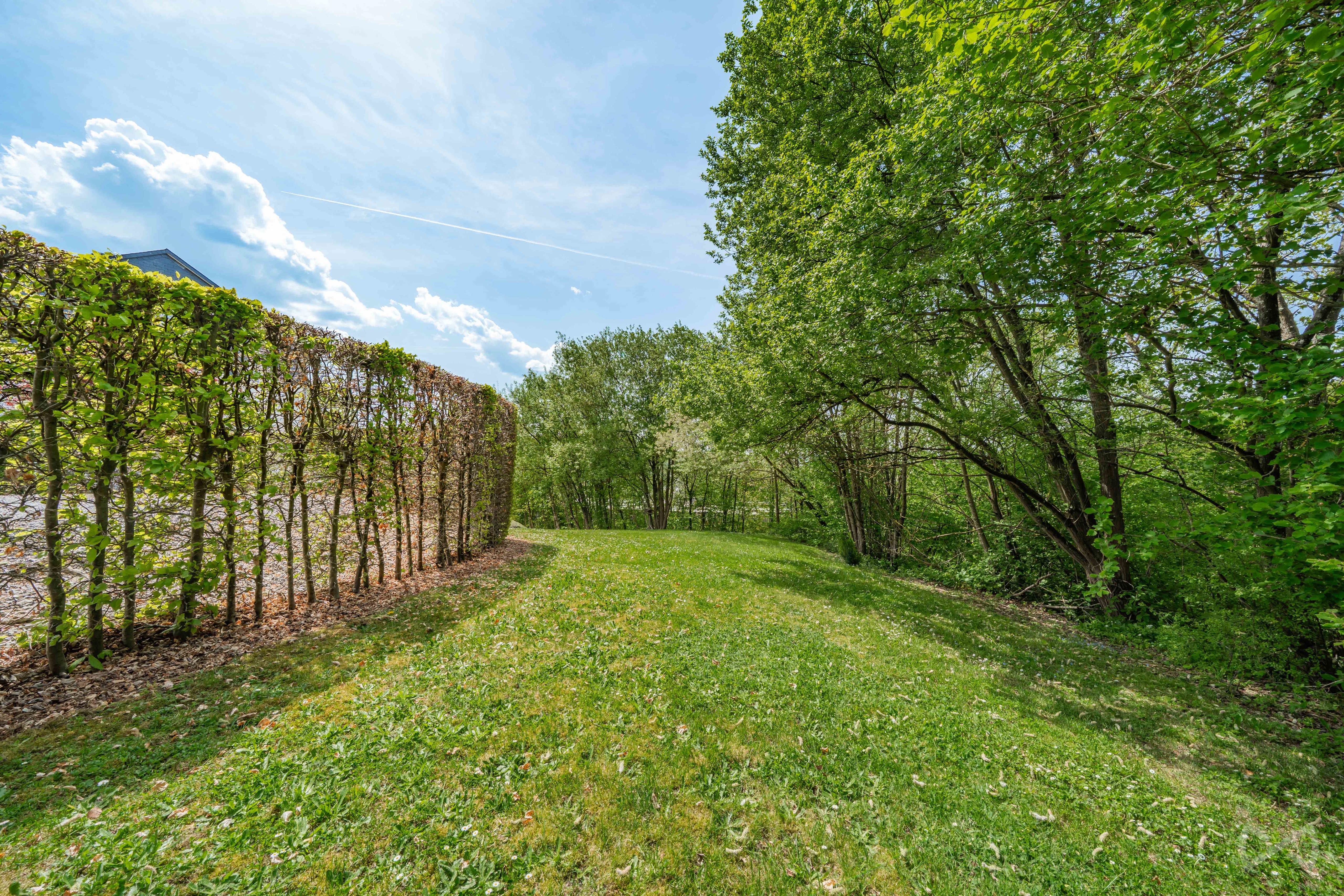 Photo 1 sur 4 pour Rez-de-chaussée d'une chambre à Malmedy