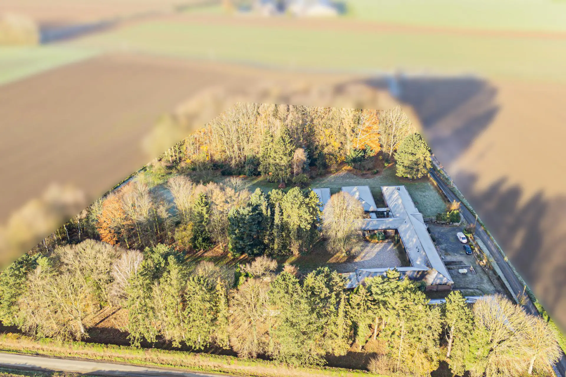 Picture of the property