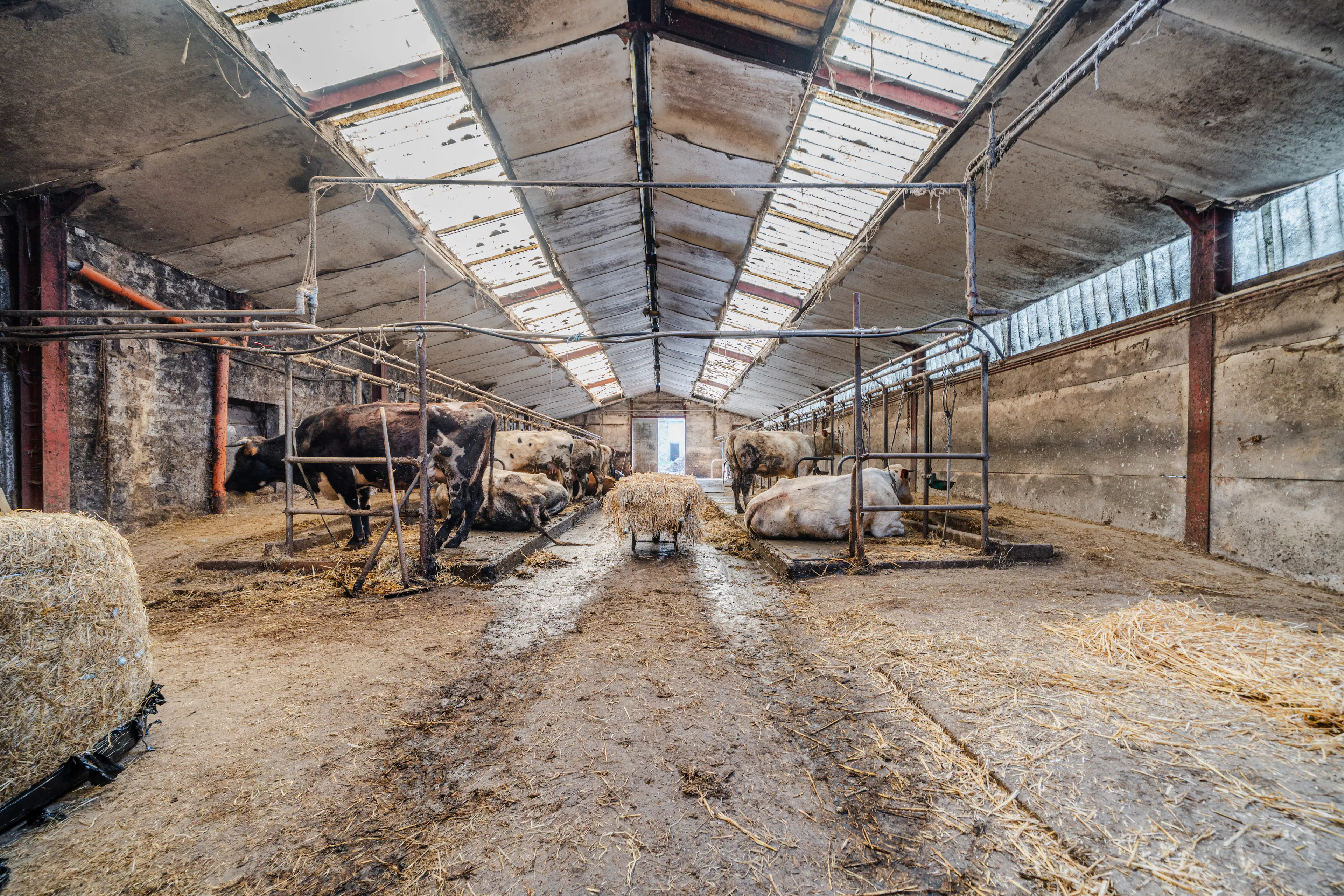 Foto van de woning