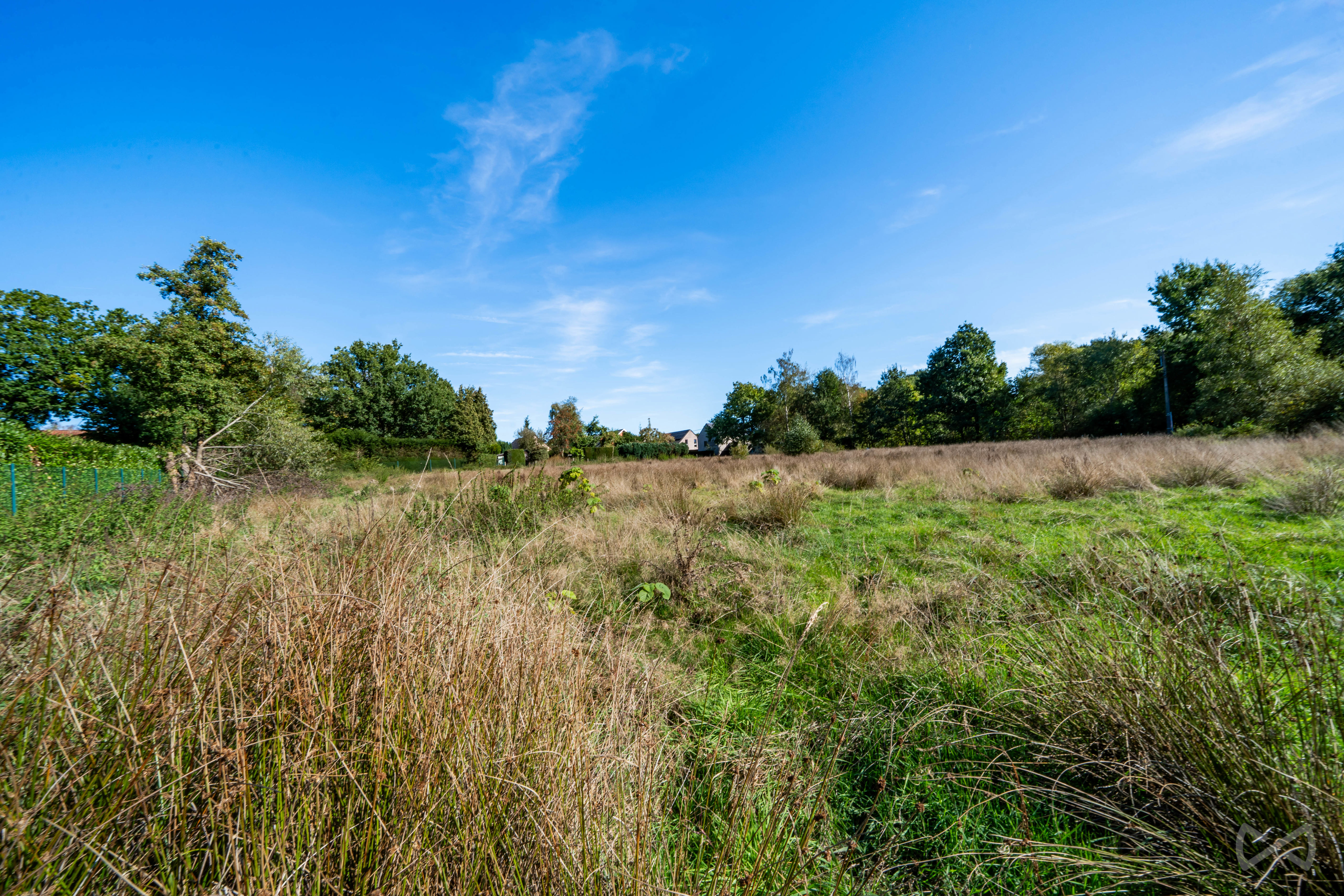 Foto van de woning