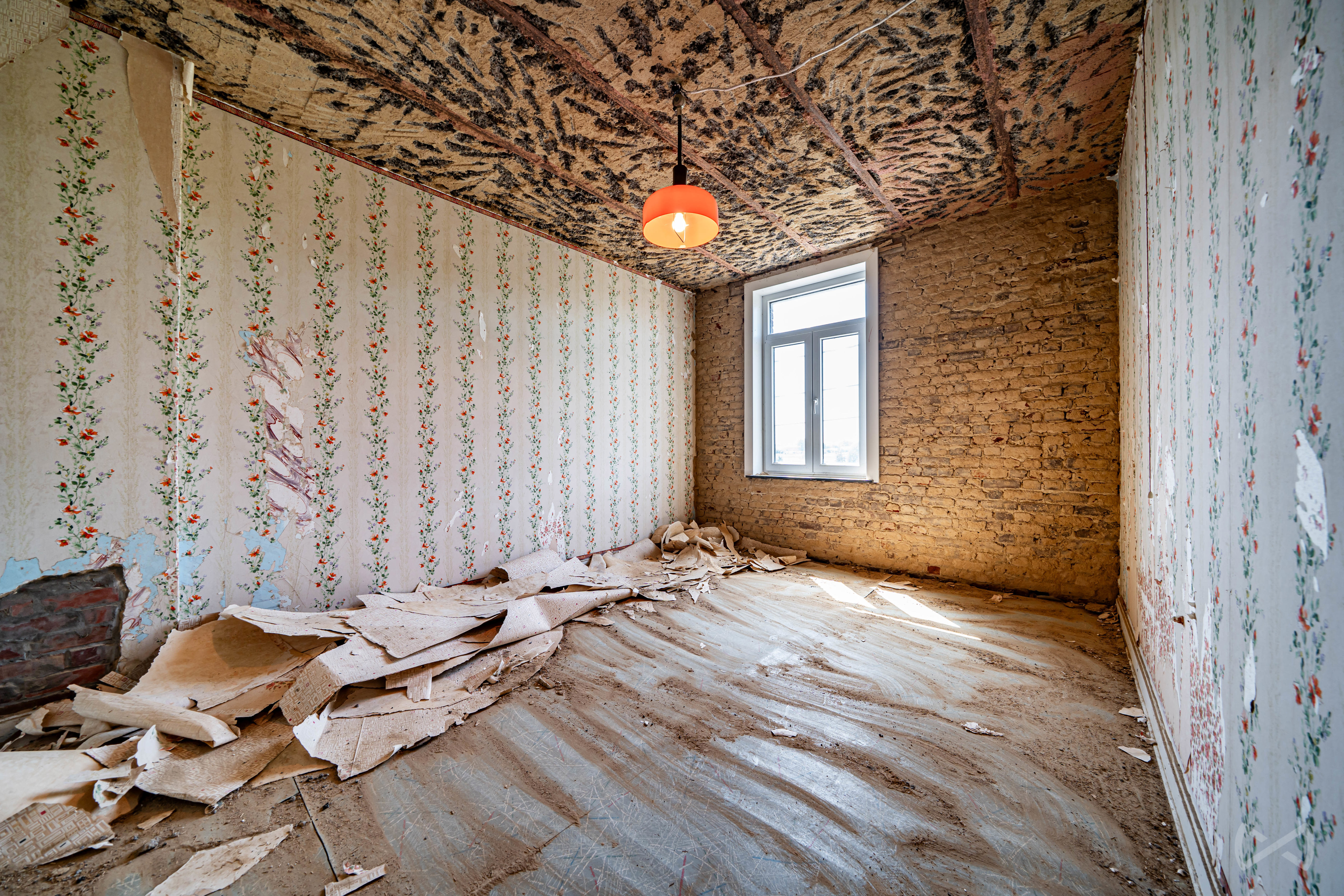 Photo 3 sur 4 pour Maison de trois chambres à Amougies