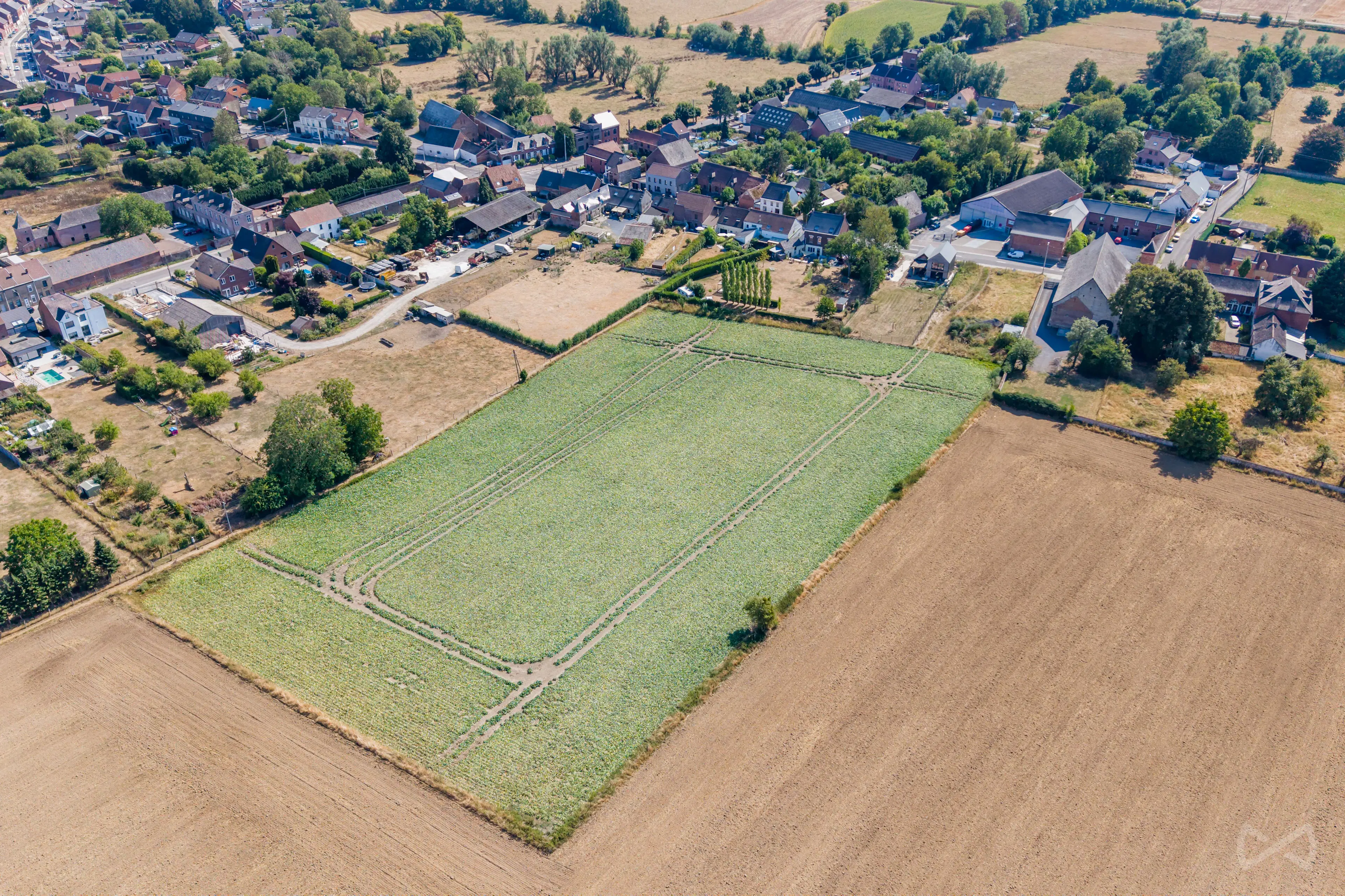Picture 3 of 4 for Building ground in Harmignies