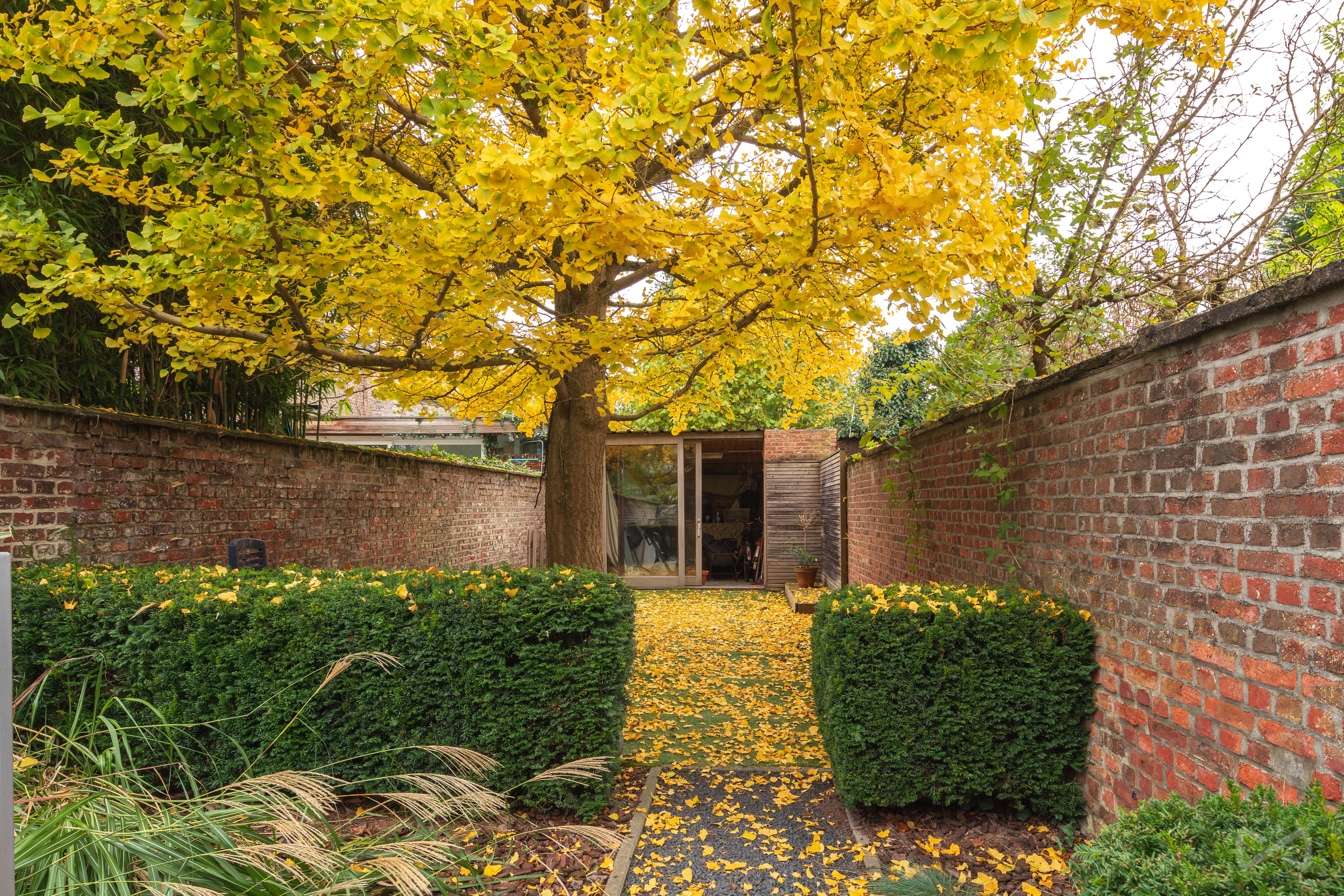 Picture 3 of 4 for Maison de maitre with five bedrooms in Leuven