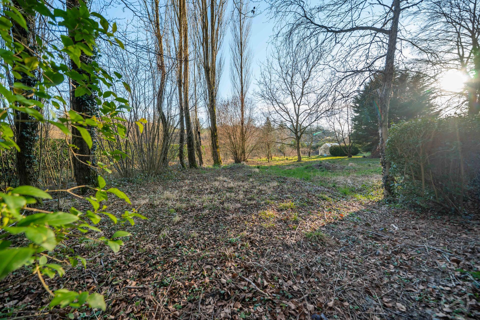 Picture 1 of 4 for Building ground in Barbençon