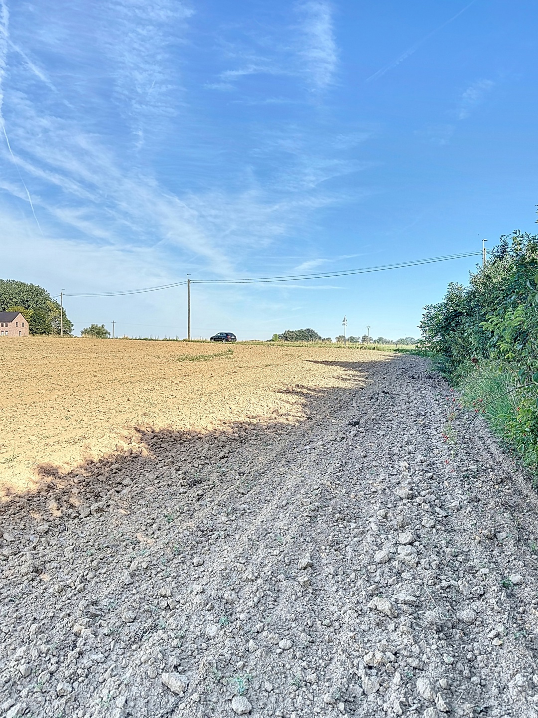 Picture 1 of 4 for Building ground in Burdinne Hannêche