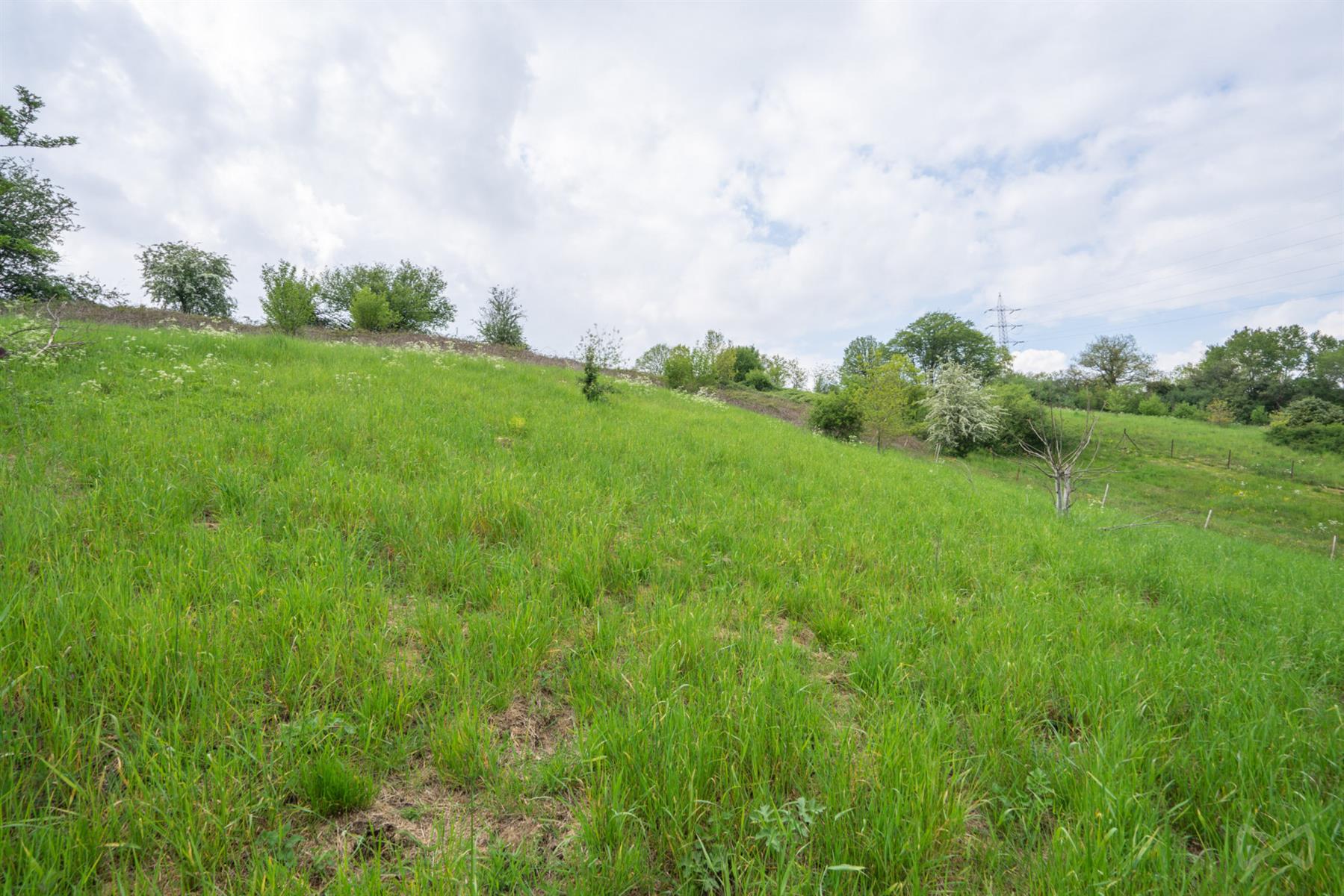 Picture 1 of 4 for Building ground in Silenrieux