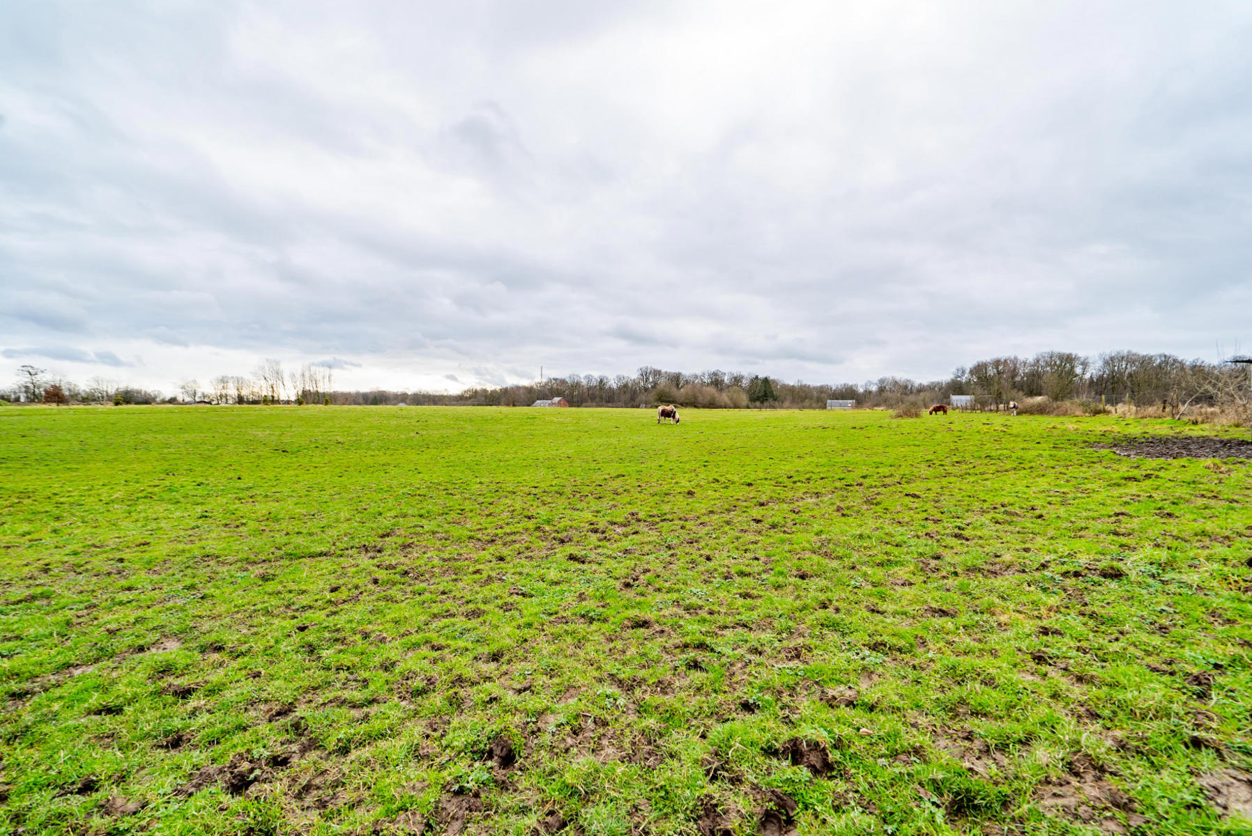 Picture 1 of 4 for Ground in Macquenoise