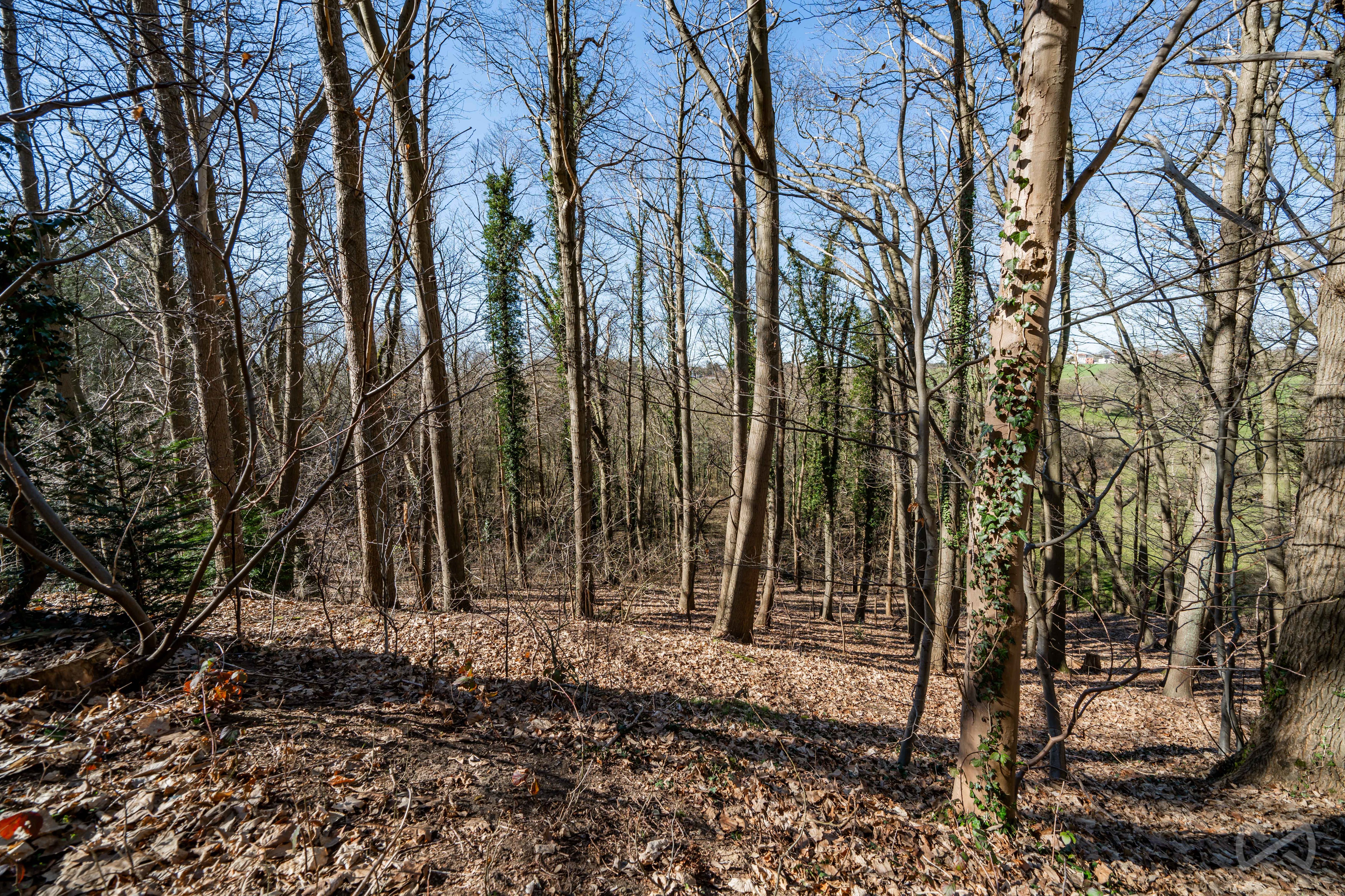 Foto 3 van 4 van Charmante woning met vier slaapkamers in Overijse
