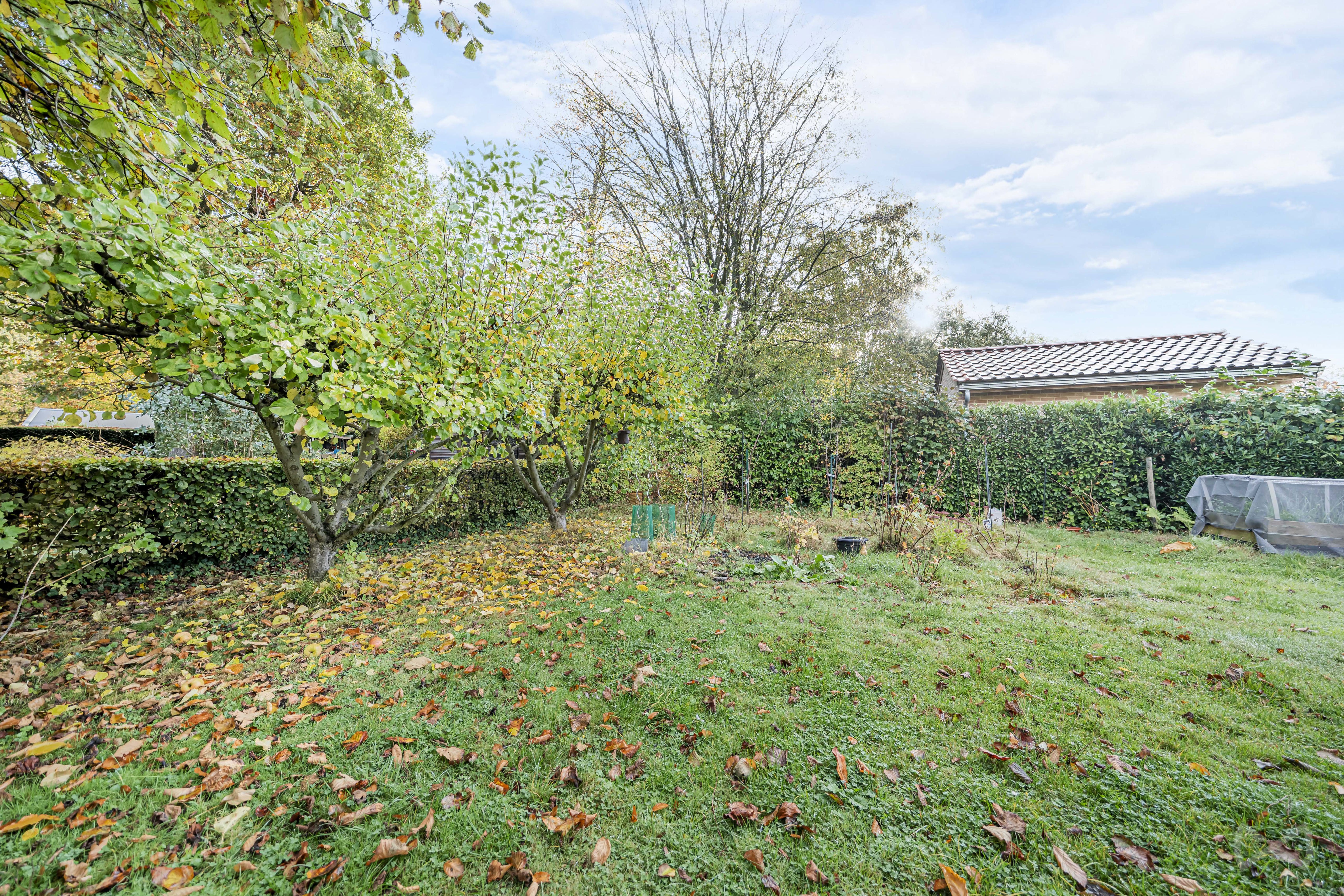 Picture 3 of 4 for House with four bedrooms in Ottignies