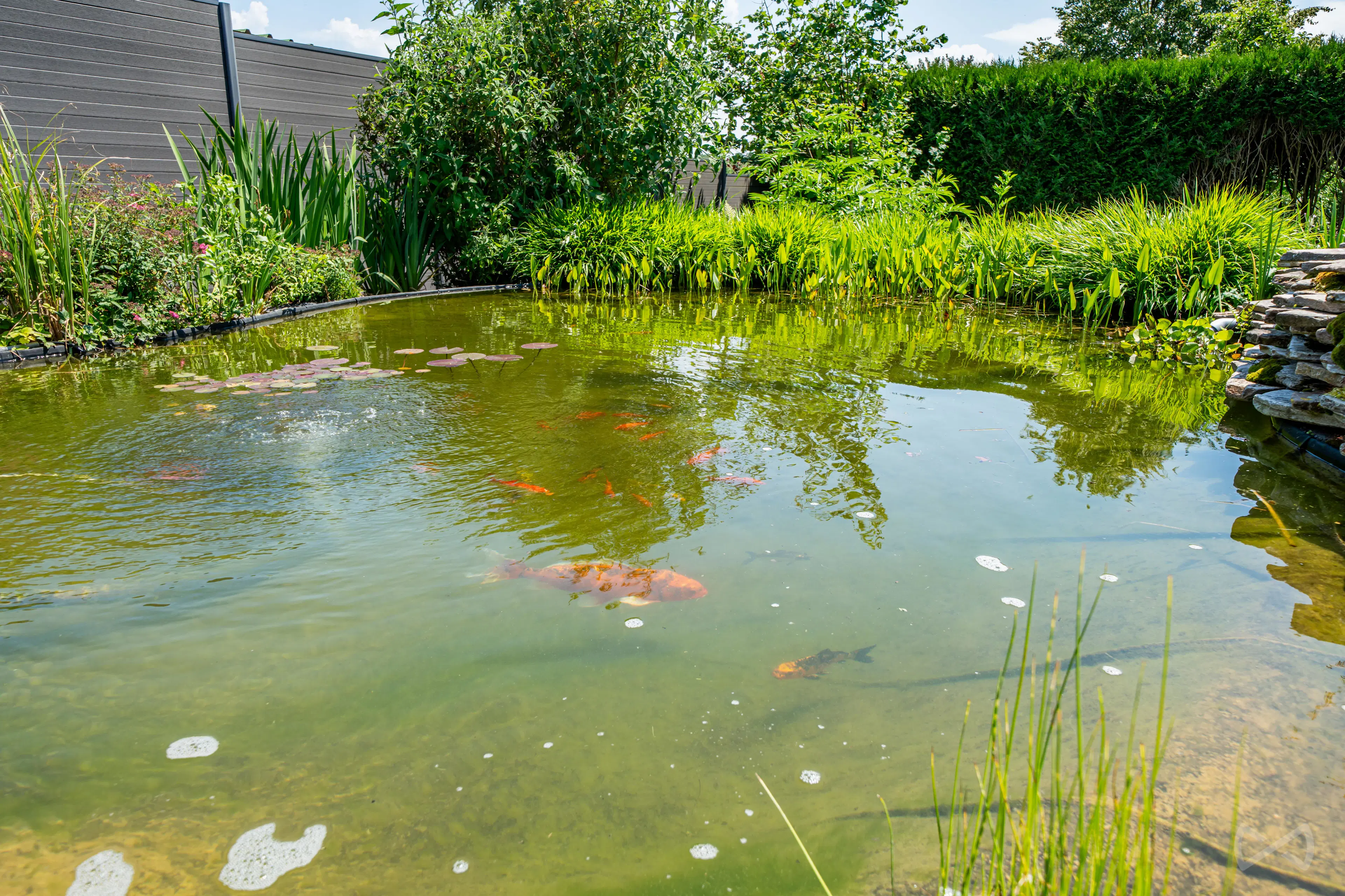 Foto 4 van 4 van Huis met drie slaapkamers in Virelles